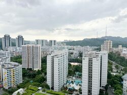 Blk 293C Skypeak @ Bukit Batok (Bukit Batok), HDB 5 Rooms #582925071